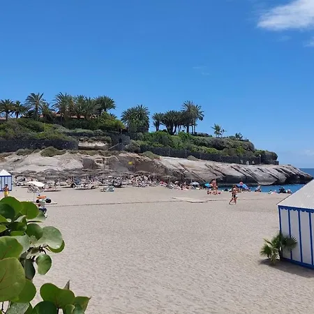 The Ocean View