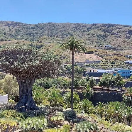 The Ocean View